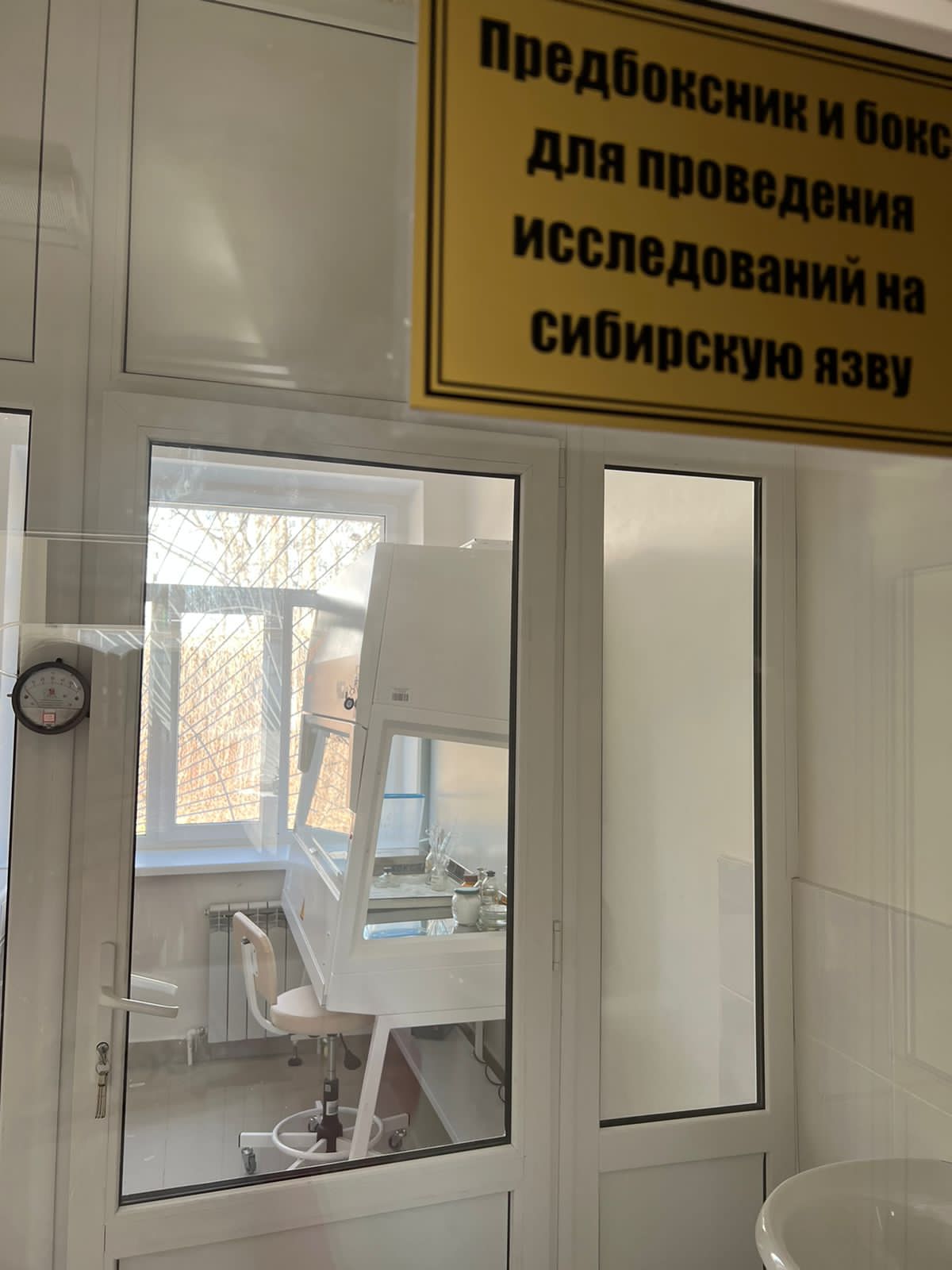 Бокс микробиологической безопасности БМБ-II-«Ламинар-С»